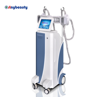 Body Shaper Cryolipolysis Slimming Machine Weight Loss With Membranes