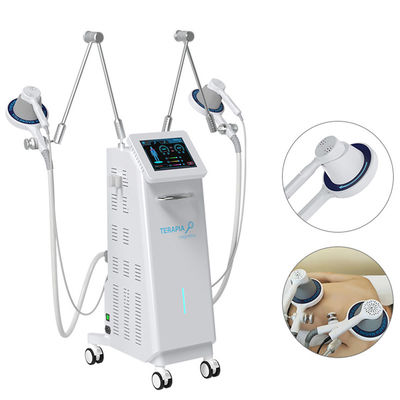110V 220V Electromagnetic Therapy Machine EMS Body Sculpting Machine 4 Zone Pain Relief System