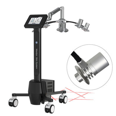 Pain Free Non Invasive Body Sculpting Device 635nm Laser Beauty Equipment